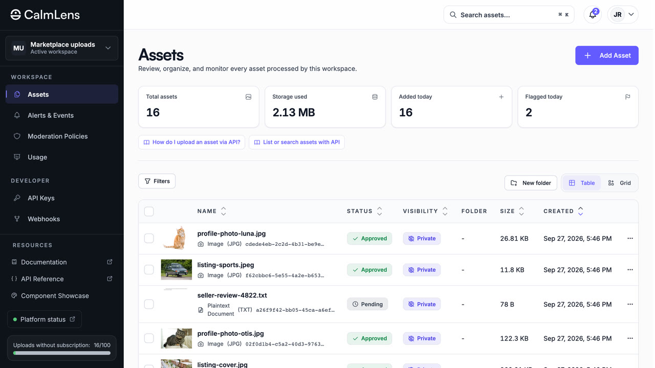 CalmLens assets view listing moderated images and documents with their review status and visibility